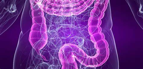 图片来源于网络