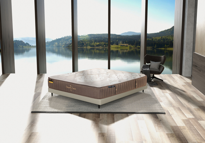 金可儿专家之选125周年纪念款