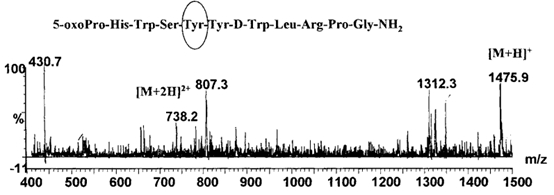 图4 某合成多肽药物A插入肽的质谱图