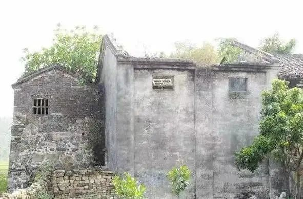 图片来源 廉江旅游