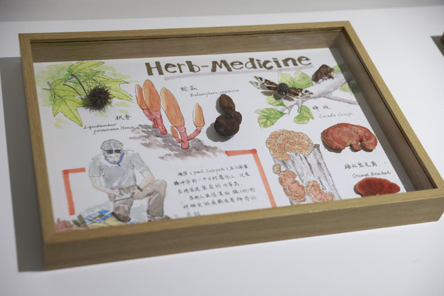 艺术家创作的写⽣插图。