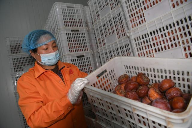 张坊镇冷冻的磨盘柿子。新京报记者 王颖 摄