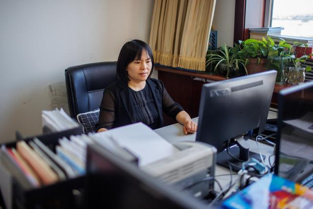 北京市密云区园林绿化局，“80后”养蜂博士罗其花正在办公。新京报记者 王子诚 摄