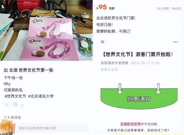 图/世界文化节小红书、闲鱼卖票信息；来源/燃次元截图