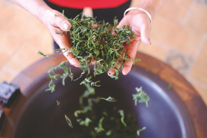     茶农抢抓农时采茶、制茶    本报记者宋延康 摄