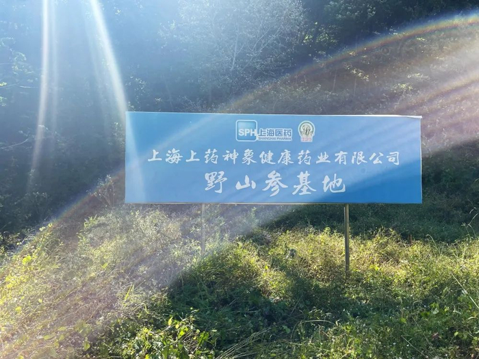 上药神象“野山参繁衍护育示范基地”