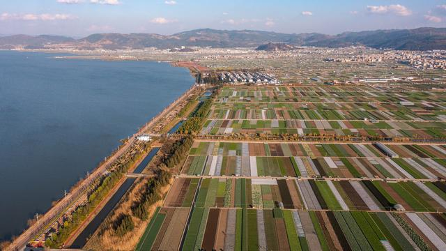 ▲这是云南省玉溪市通海县的田园风光（无人机照片，2月7日）。图/新华社
