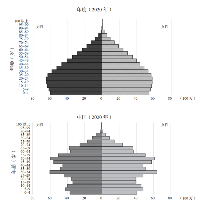 2020 年的人口金字塔