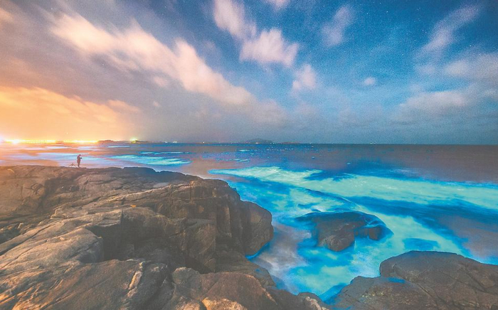 平潭“蓝眼泪”奇观 念望舒 摄