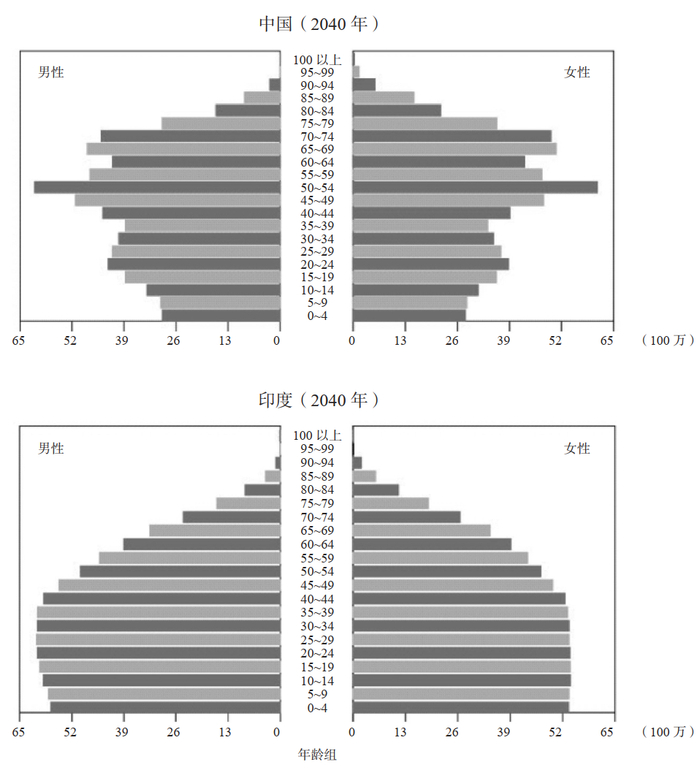 2040 年的人口金字塔