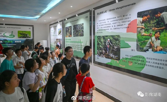 5月19日，研学的学生在宜章县莽山自然博物馆参观学习。