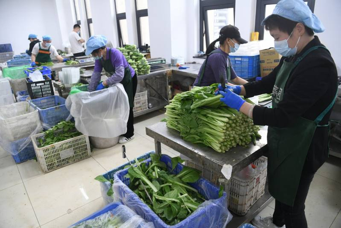 加工车间工人在分类选取优质蔬菜，包装后进入市场。新京报记者 王颖 摄