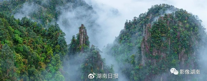 莽山国家级自然保护区将军寨景点生态环境优美。