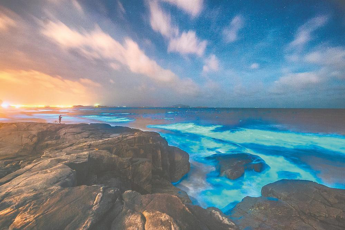 平潭“蓝眼泪”奇观    念望舒 摄