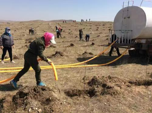 垦荒中，准备种树