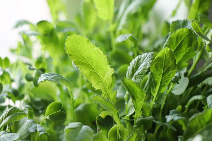 （图片来源：千图网）