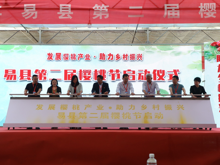 图为5月19日，易县第二届樱桃节启动仪式现场。