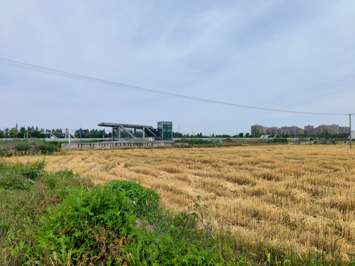 建在农田里的宁波地铁3号线高塘桥站C出口（新华社记者 李平 5月16日摄）
