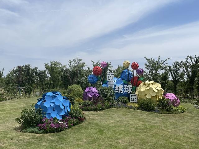 永发村将原本废弃的廊道改造成南菁绣球园。朱雅文 摄