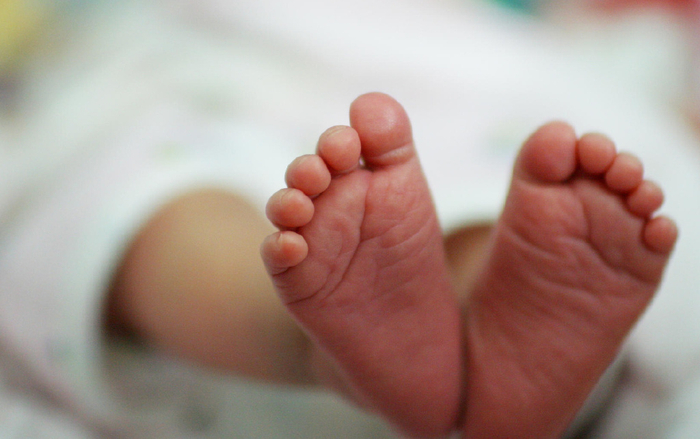 ↑资料图 据IC photo