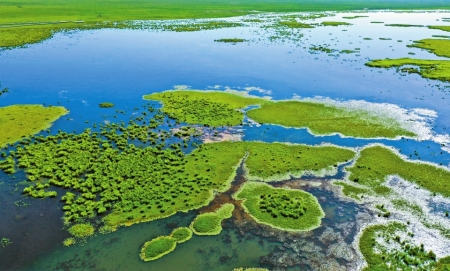 若尔盖湿地。纳么玖摄