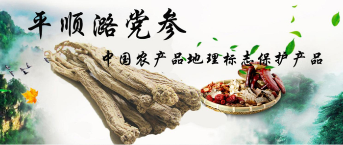 资料来源：上党平顺潞党参