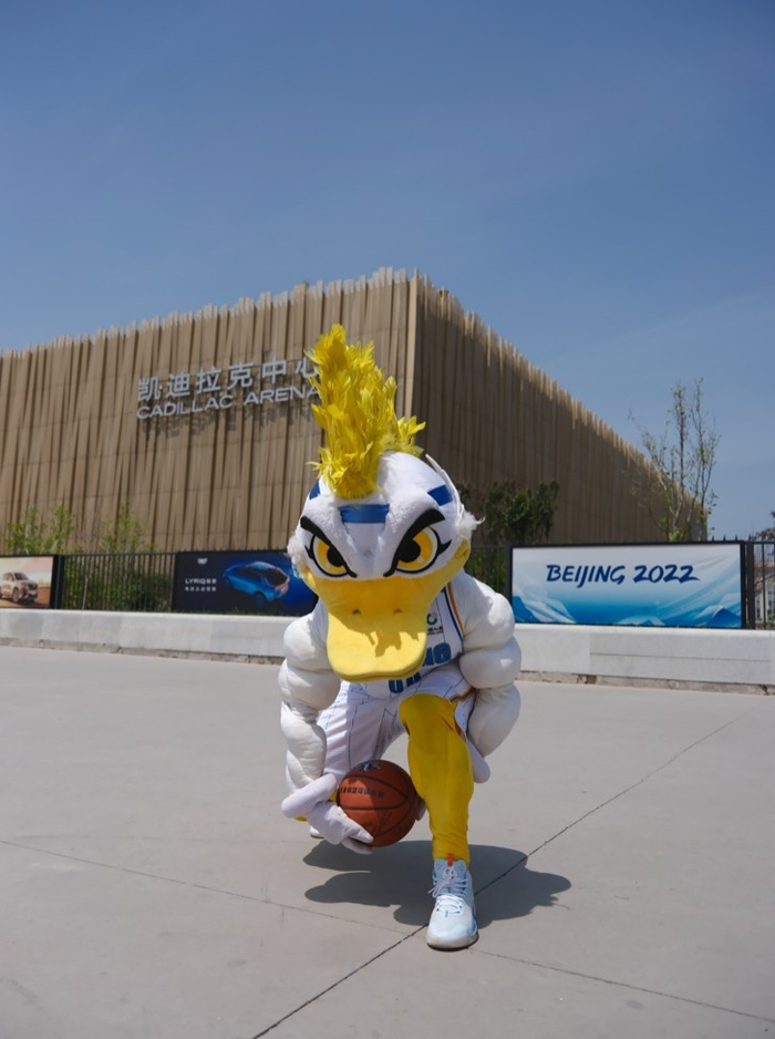 新京报记者 郭延冰 摄