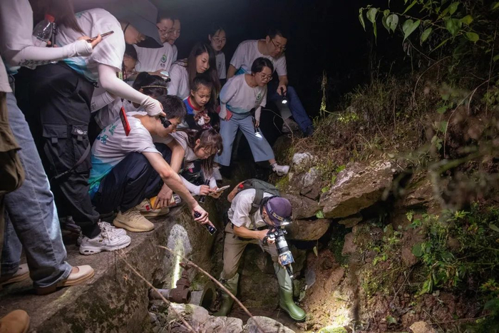 全域旅游（夜探龙观生物）