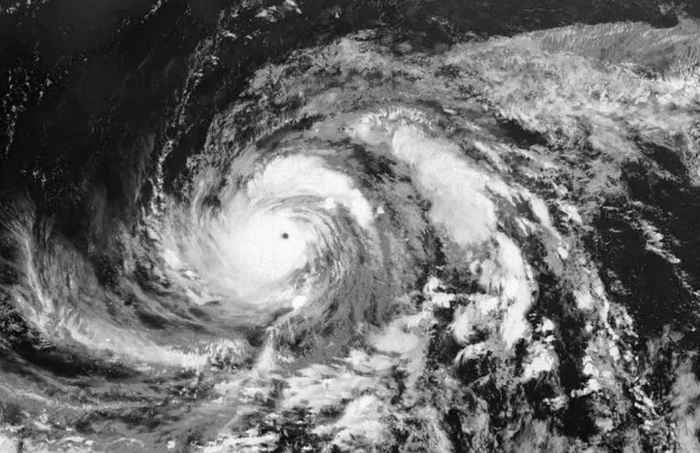 图片来源：视频截图