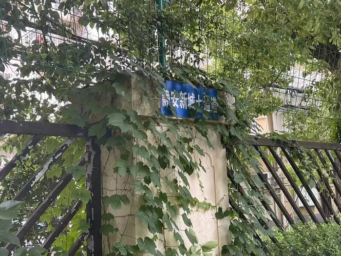 围墙上的暂用名并非正规路名