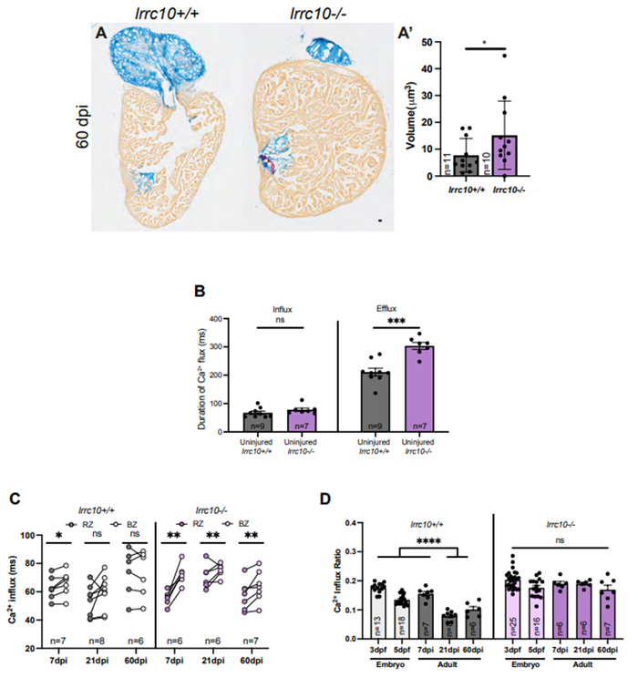 图片来自Science, 2023, doi:10.1126/science.abo6718。