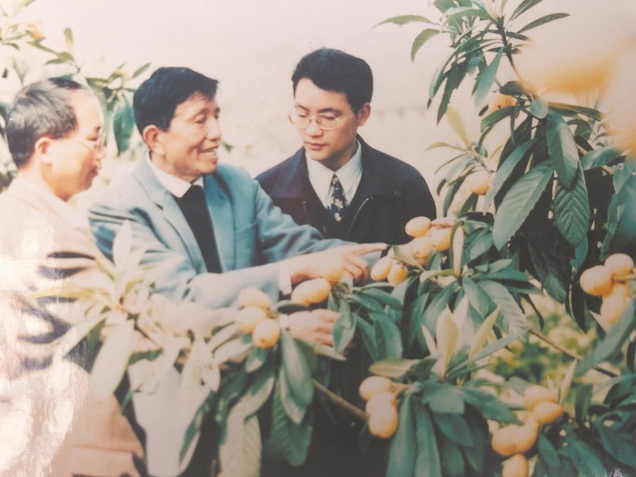 省农科院果树研究所专家黄金松（中）早年在观察枇杷新品种。（资料图片）