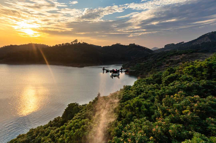↑农业无人机在广东茂名荔枝园喷洒作业。（资料图片）