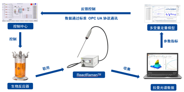 图6 整合ReactRaman™原位拉曼光谱仪完成关键参数或物料流加的自动反馈控制