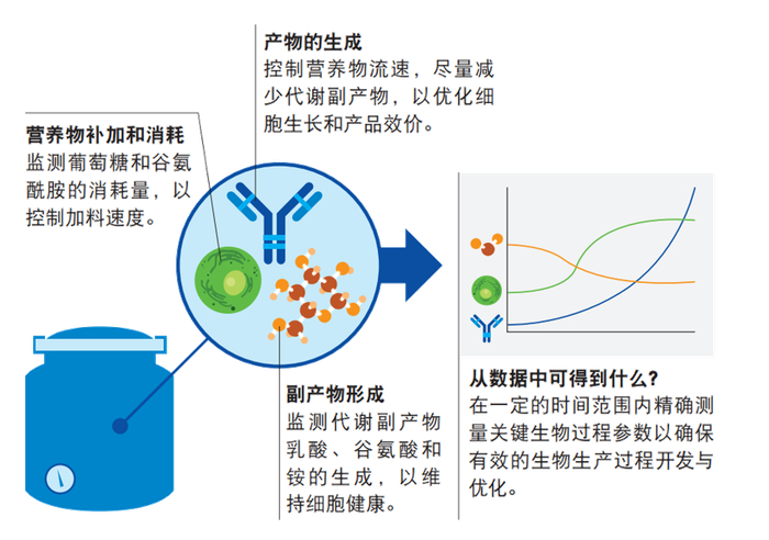 图3 拉曼光谱技术可实现发酵过程的原位在线监控