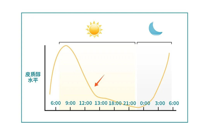 （体内皮质醇水平波动情况表）