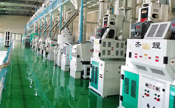 ↑黔农实业公司的大米加工生产线。（资料图片）