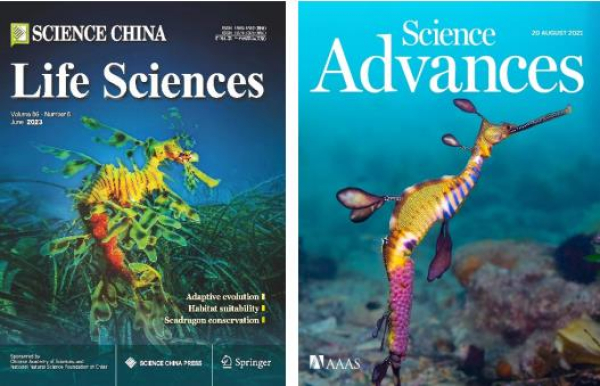 图1.左：本研究作为封面论文发表在《中国科学·生命科学》上；右：课题组前期成果作为封面论文发表在《科学进展》上