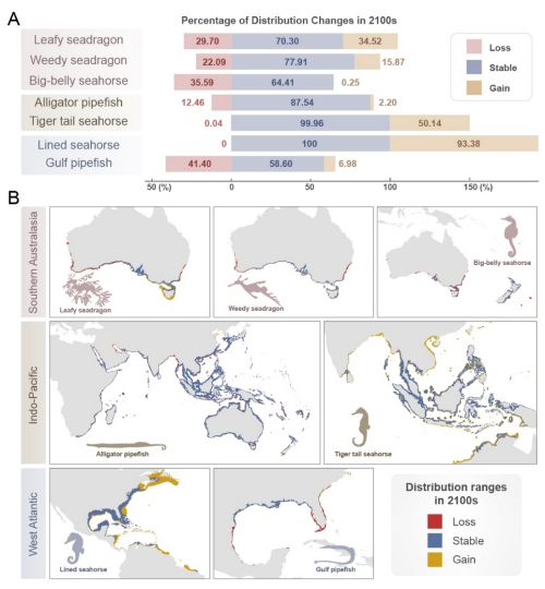 图4.在RCP 8.5下，SDM预测本世纪末7种海龙科物种的生境适宜性变化