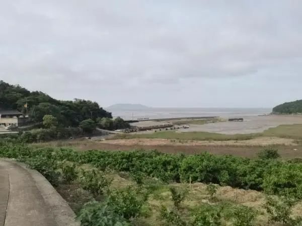 旦门山离海岸并不远  记者 唐旭锋 摄