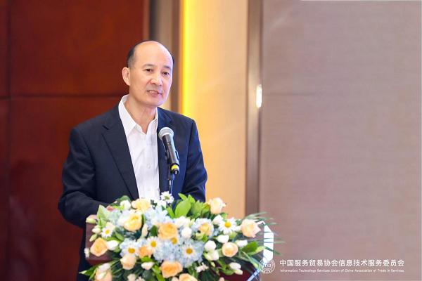 中国服务贸易协会信息技术服务委员会主任李德芳