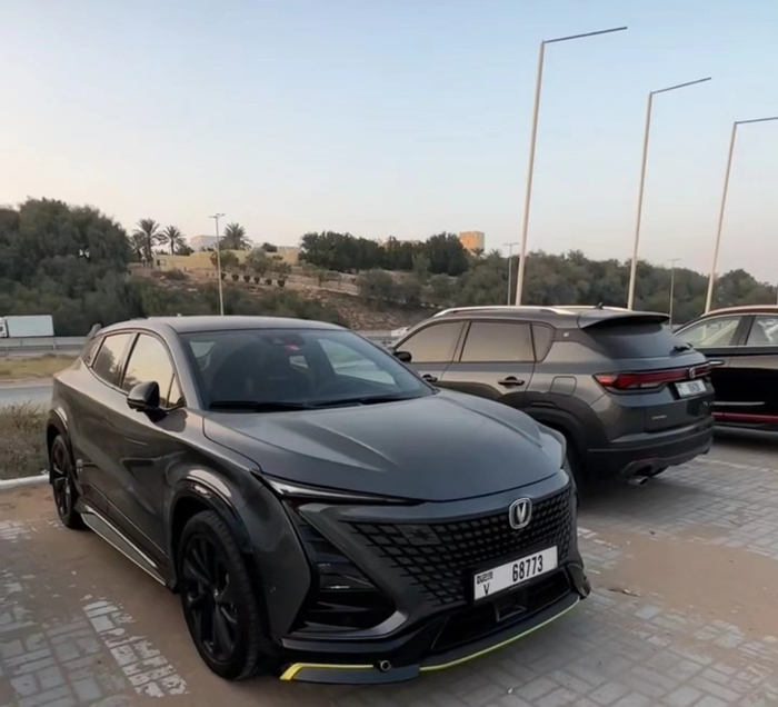 迪拜街头的中国自主品牌汽车，受访者供图