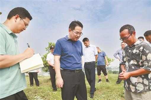 调研现场。 华声在线全媒体记者 刘蓉 摄