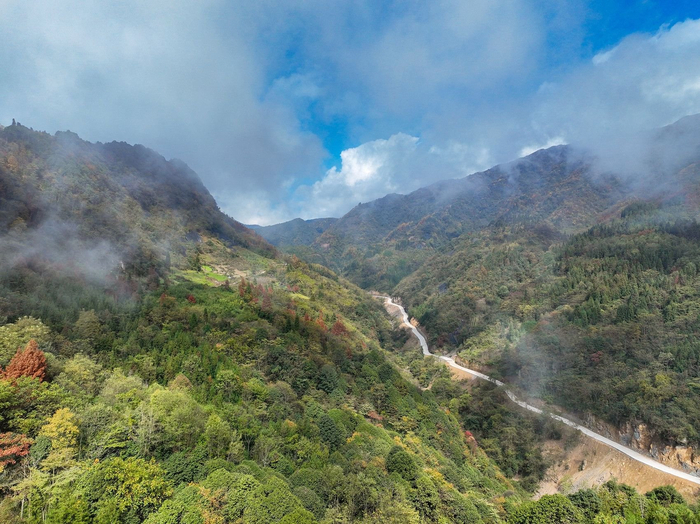 修建中的峨眉南山文旅主通道。冯举 摄