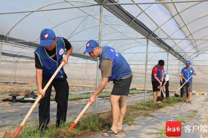 　　龙头村党员在蔬菜基地责任区服务。秀英区政府供图