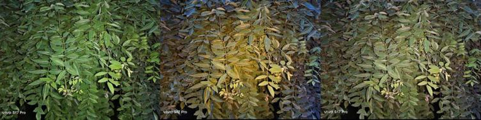 最左边采用自动色温模式，中间为低色温，右边为高色温 图源：品玩lzh