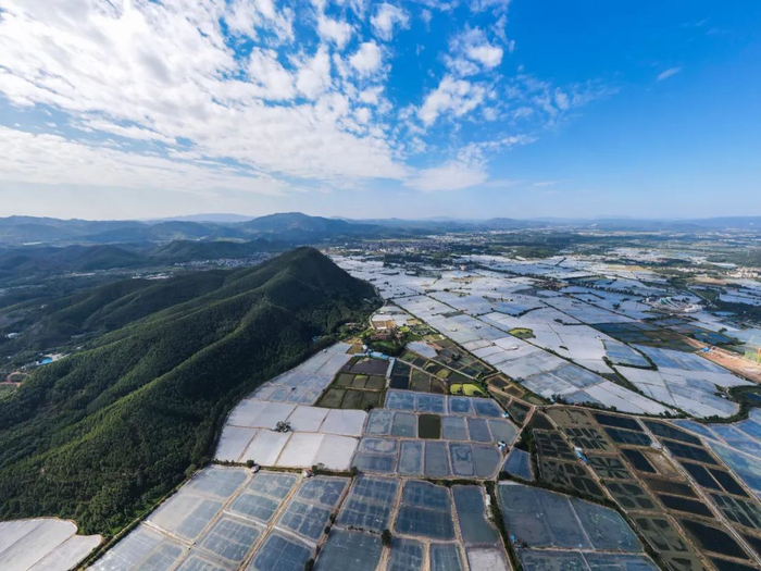 图 | 高要区淡水养殖资源丰富。图源 高要发布