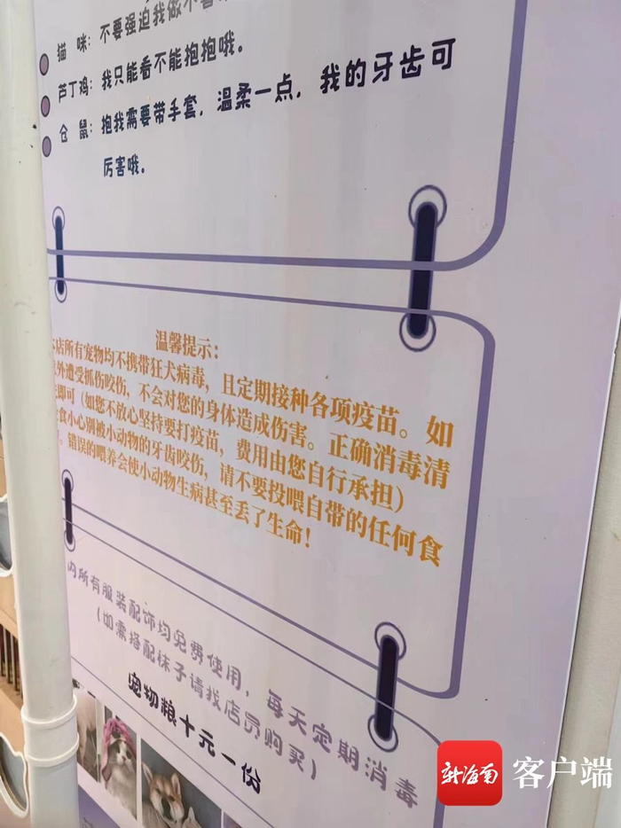 “撸宠店”粘贴的“免责告示”。市民张女士供图