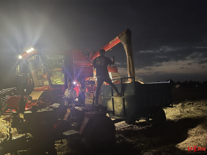 ↑5月30日深夜，邓州市张楼乡，村民连夜抢收