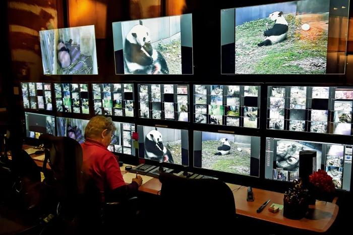 2015年12月14日，美国史密森尼国家动物园熊猫馆的控制室。